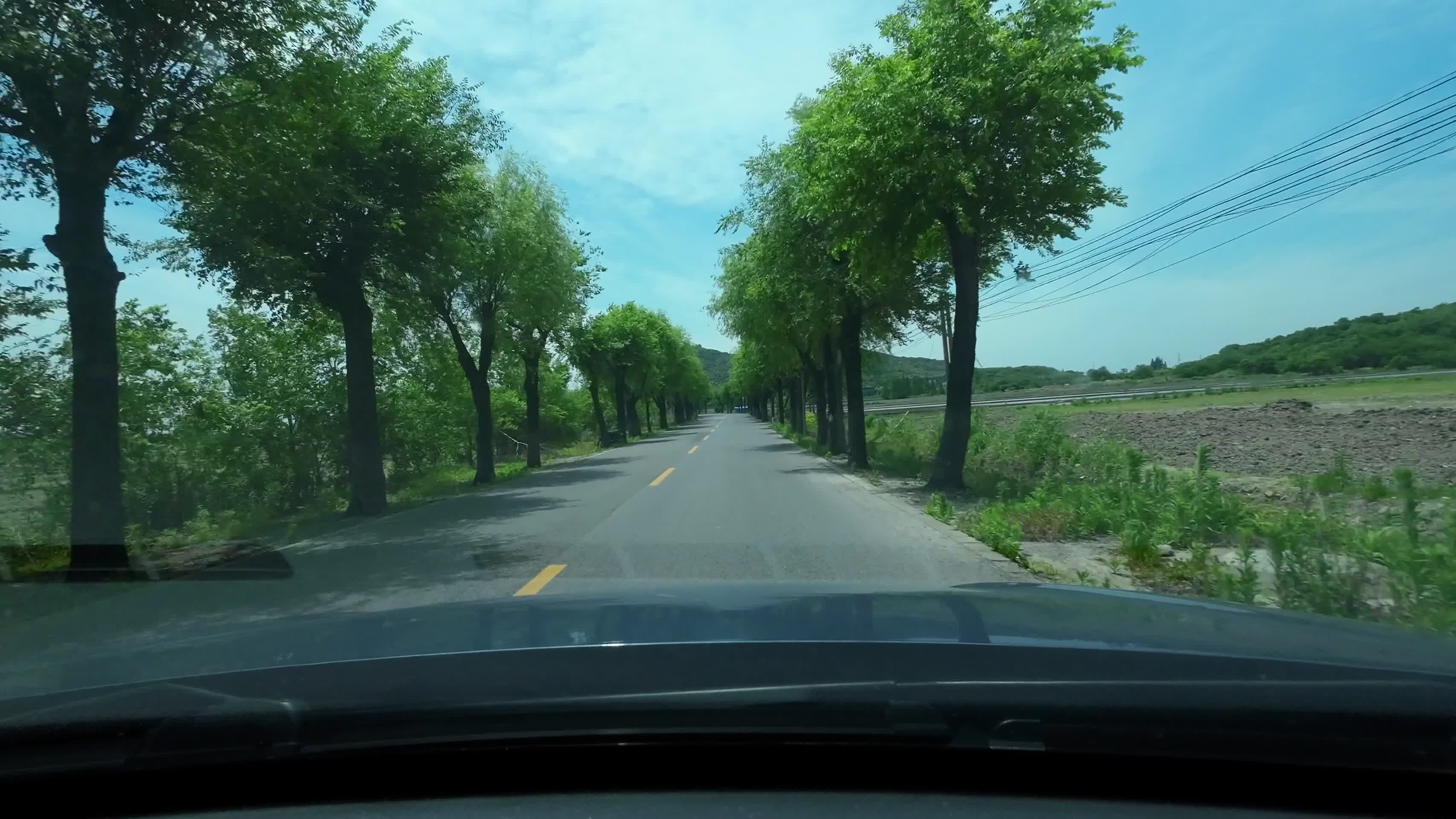 乡村第一视角开车沿路风光4K视频的预览图