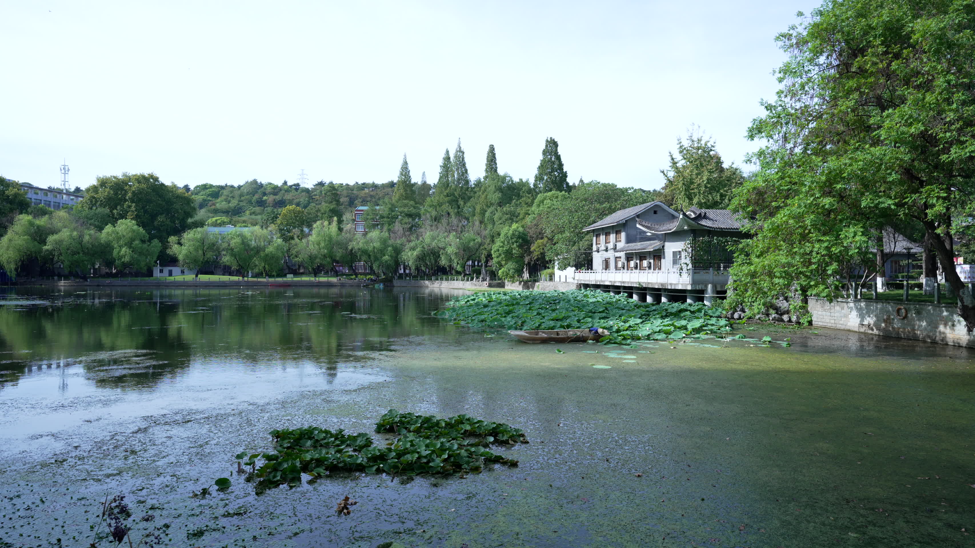 武汉汉阳区莲花湖公园风景视频的预览图