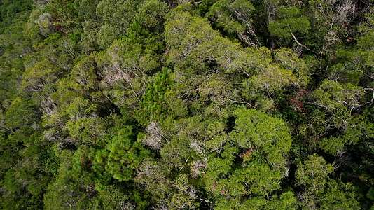 航拍山间树林景观视频的预览图