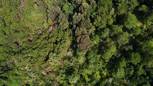 航拍山间树林景观视频的预览图