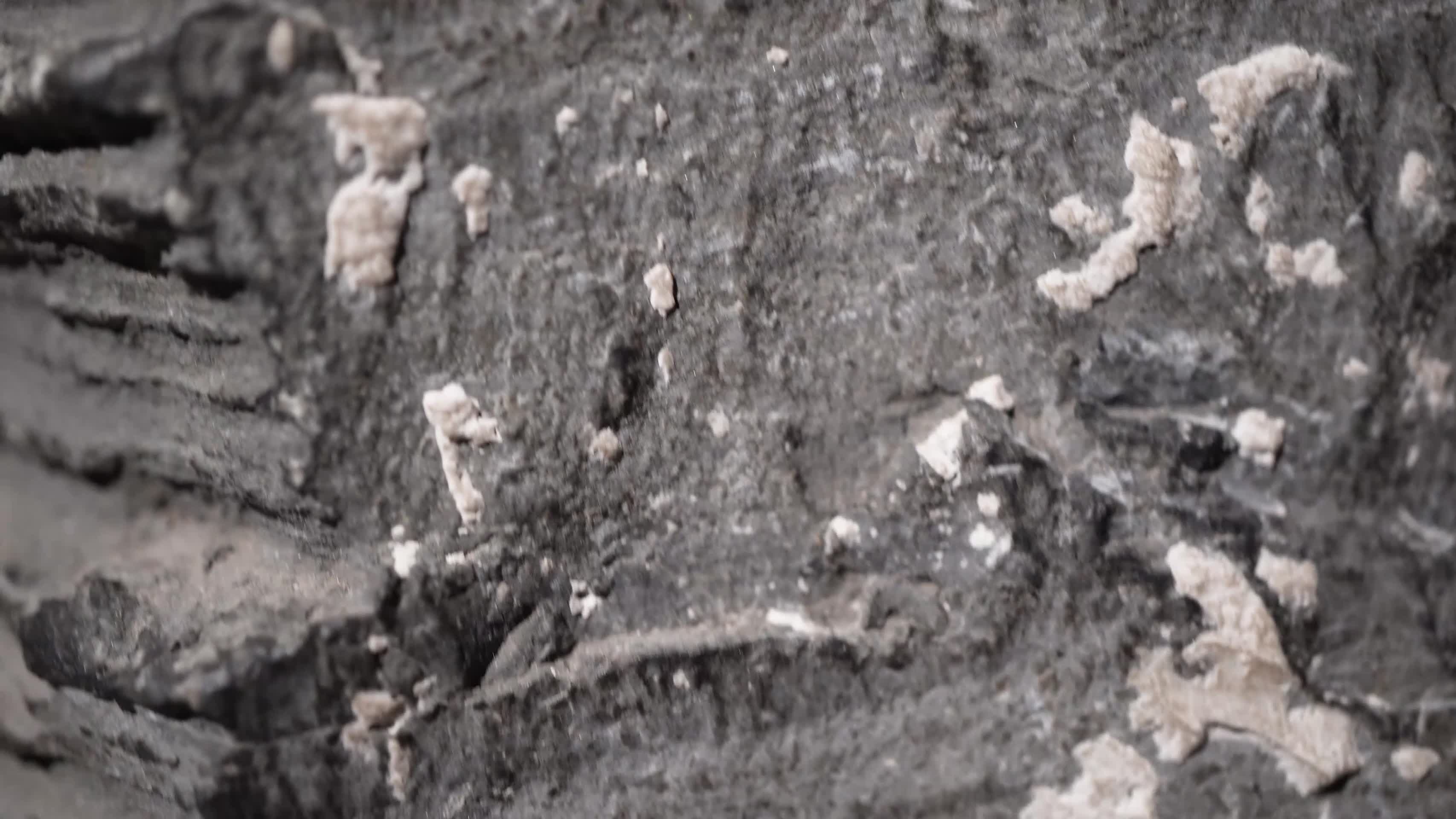 地壳运动标本样本视频的预览图