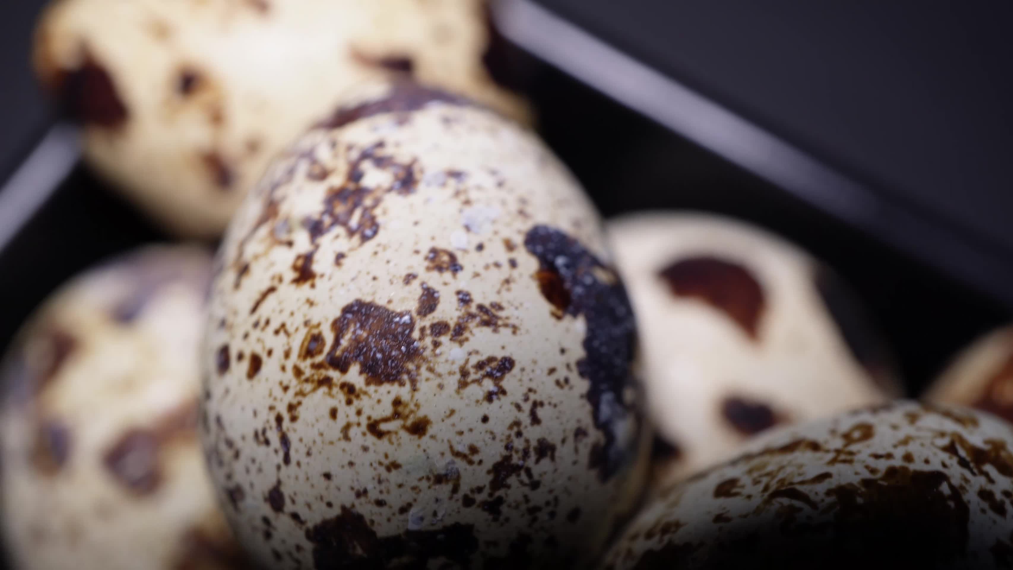 营养品鹌鹑蛋蛋黄蛋白质视频的预览图