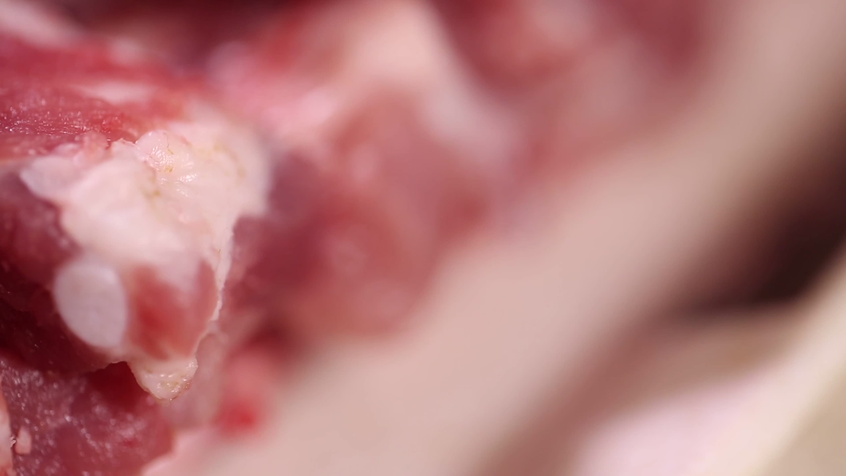 镜头合集猪肉猪肋排猪小排视频的预览图
