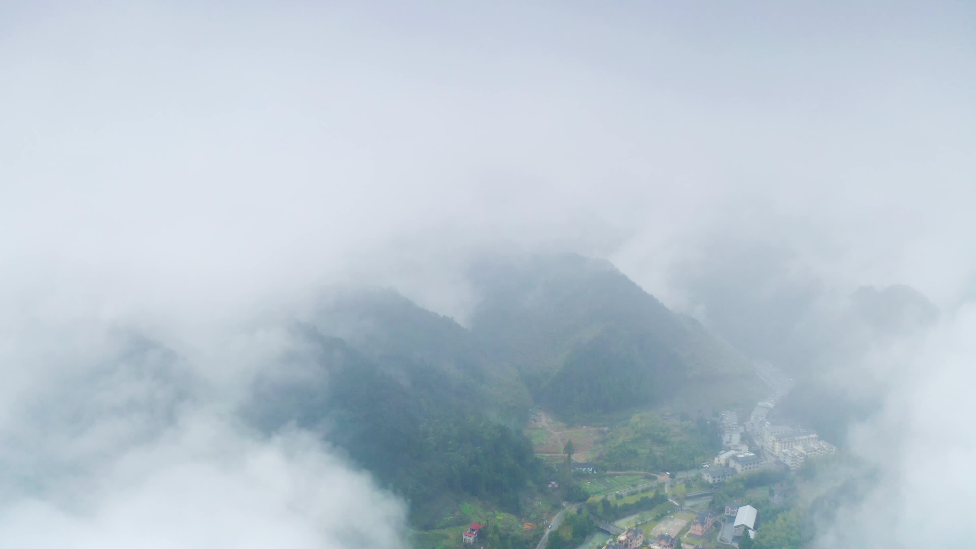 云雾缭绕的高山森林视频的预览图