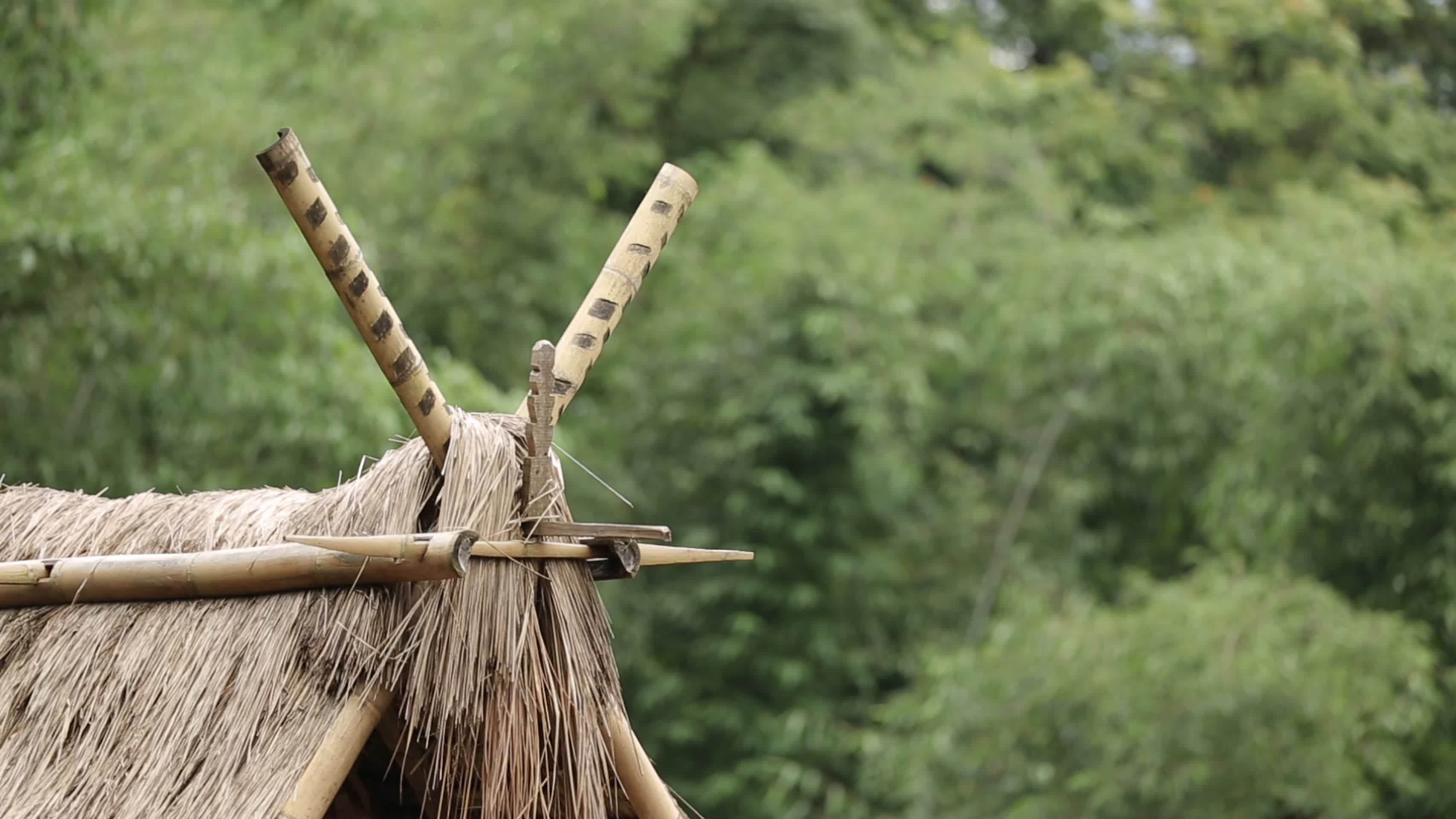 原始部落茅草屋房檐图腾装饰视频的预览图