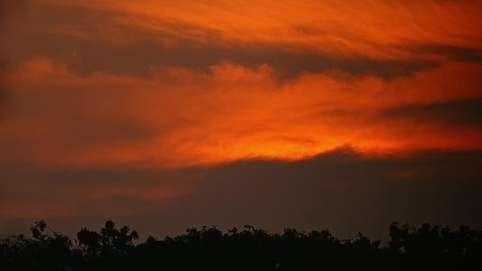 4k实拍夕阳下的白鹭飞翔视频的预览图