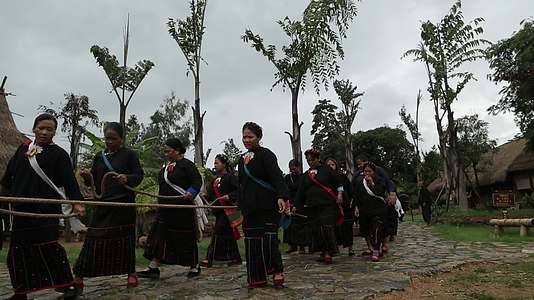 沧源翁丁少数民族佤族载歌载舞节日视频的预览图