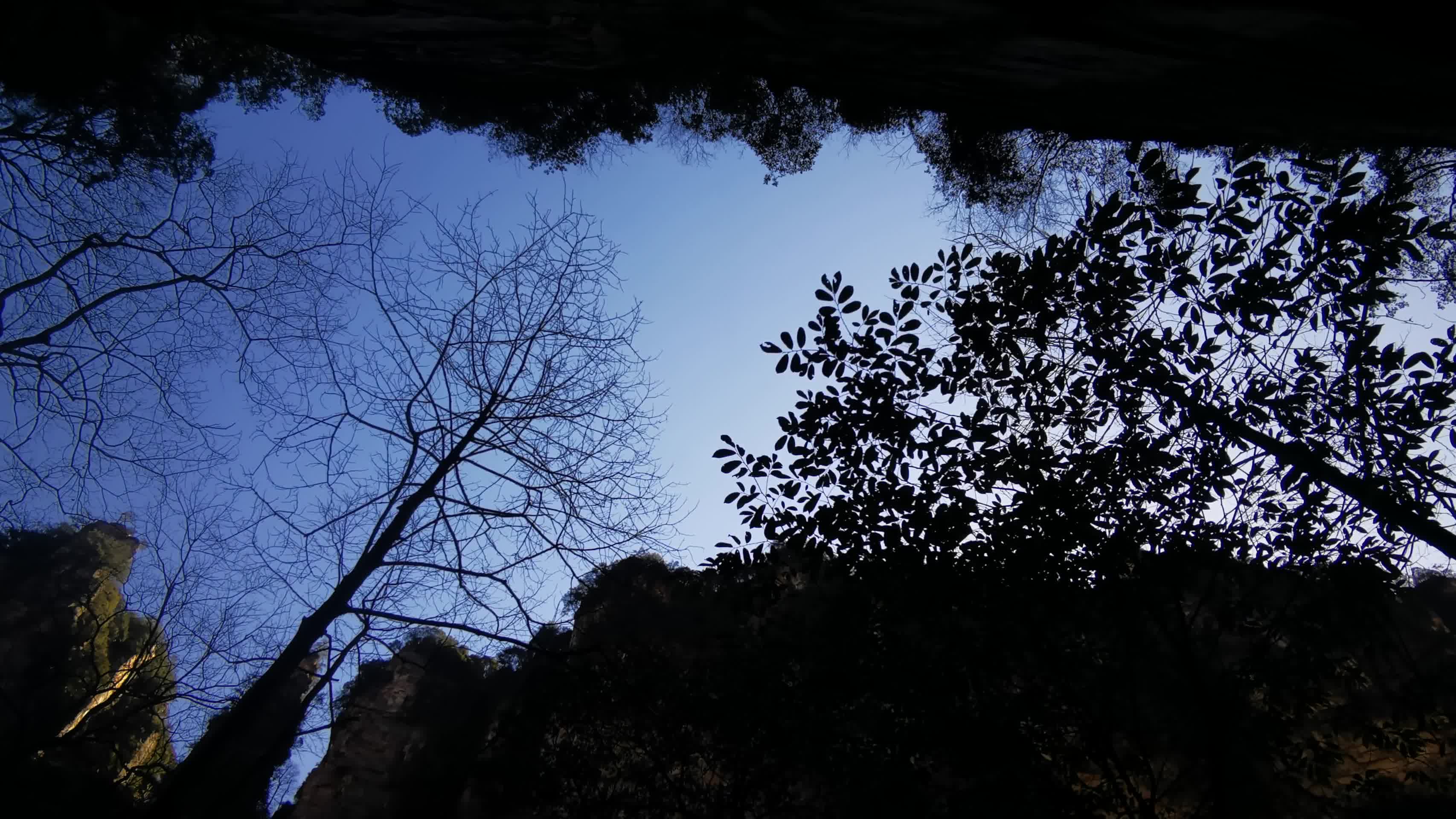 湖南张家界武陵源悬崖峭壁视频的预览图
