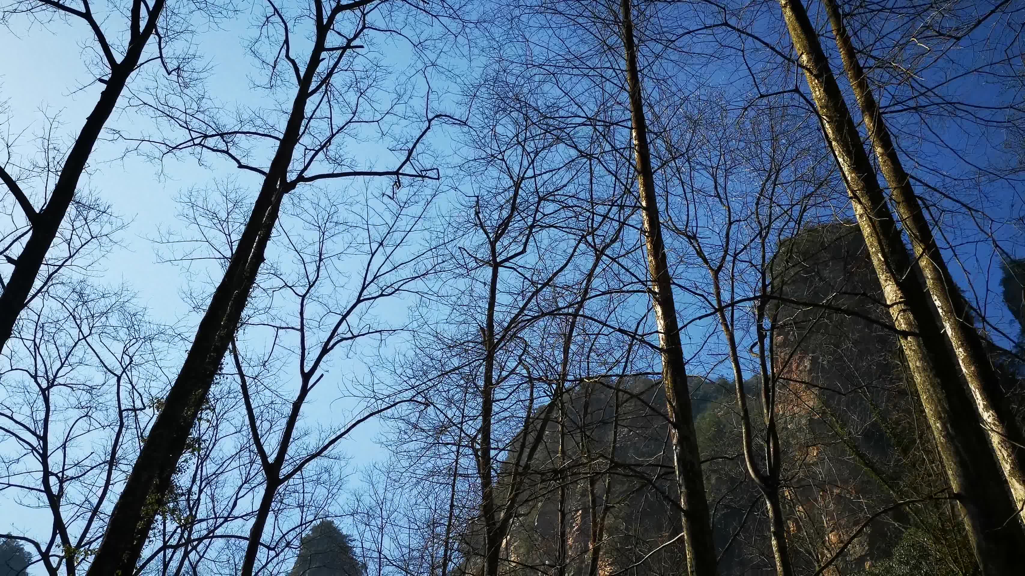 湖南张家界武陵源森林公园视频的预览图
