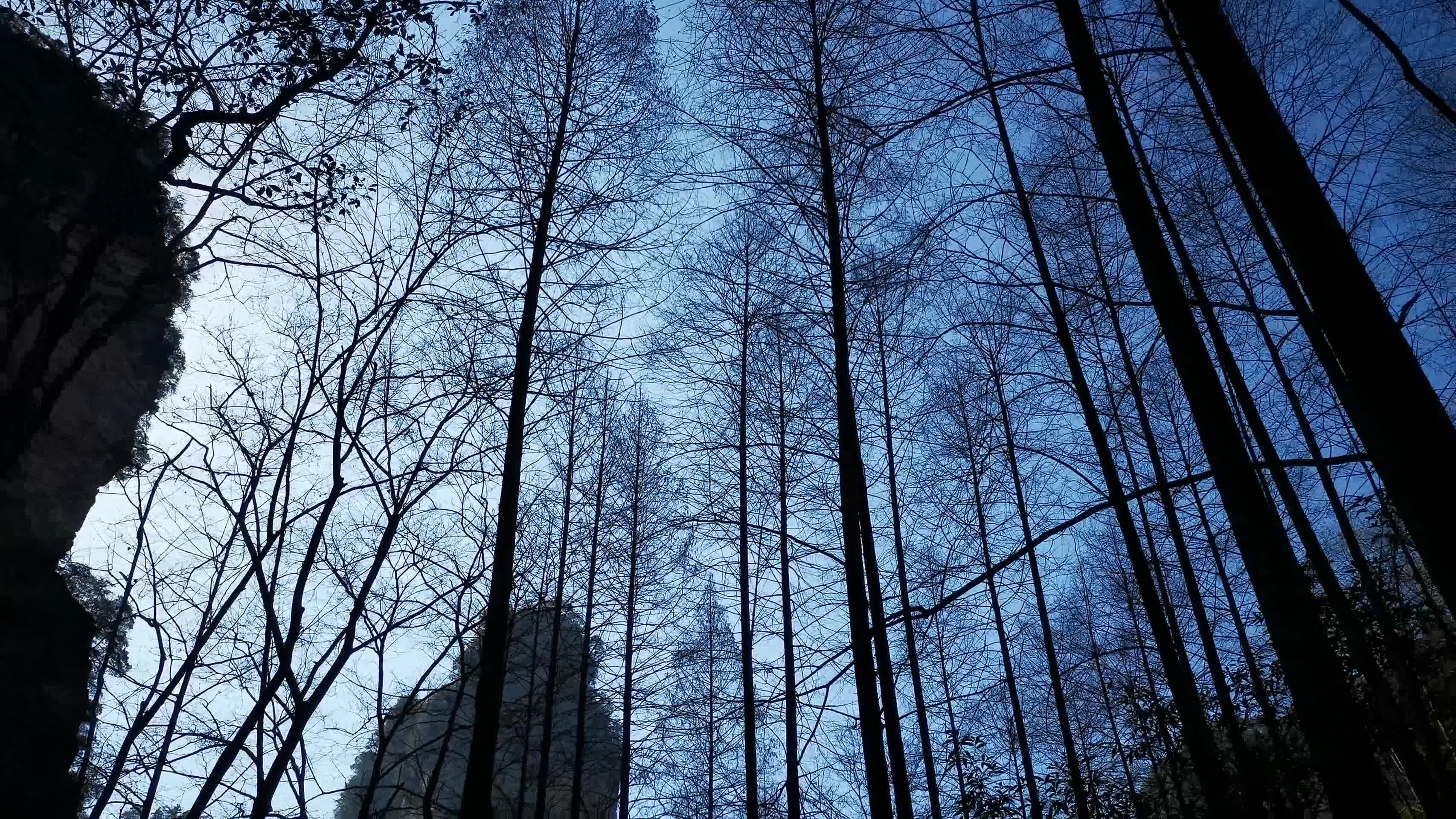 湖南张家界武陵源森林公园视频的预览图