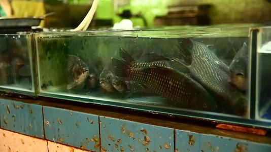 镜头合集水产市场卖鱼捞鱼鱼缸鲫鱼视频的预览图