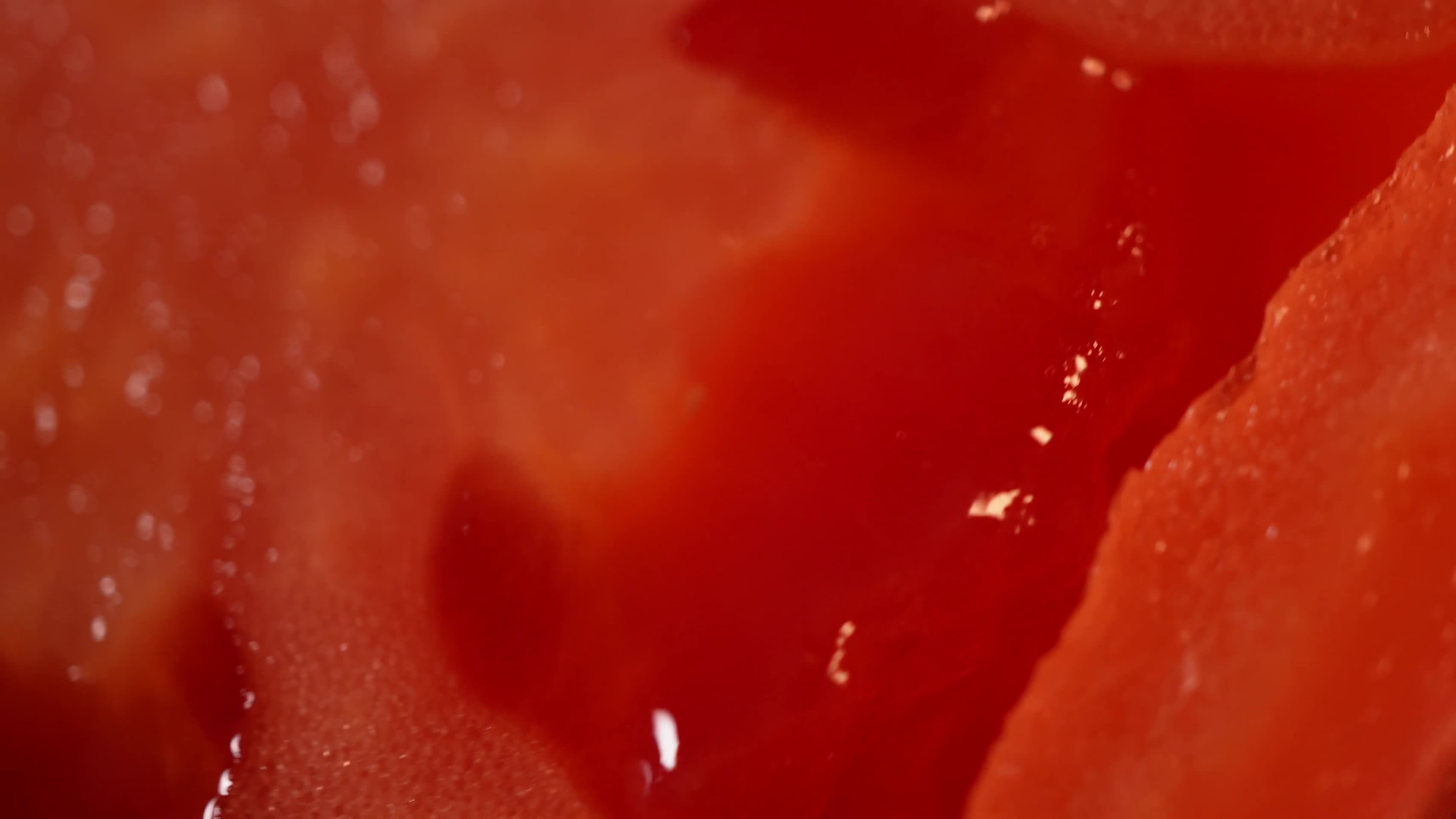 镜头合集微距番茄种子番茄果肉视频的预览图