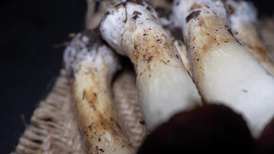 昂贵食材松茸鲜蘑菇视频的预览图