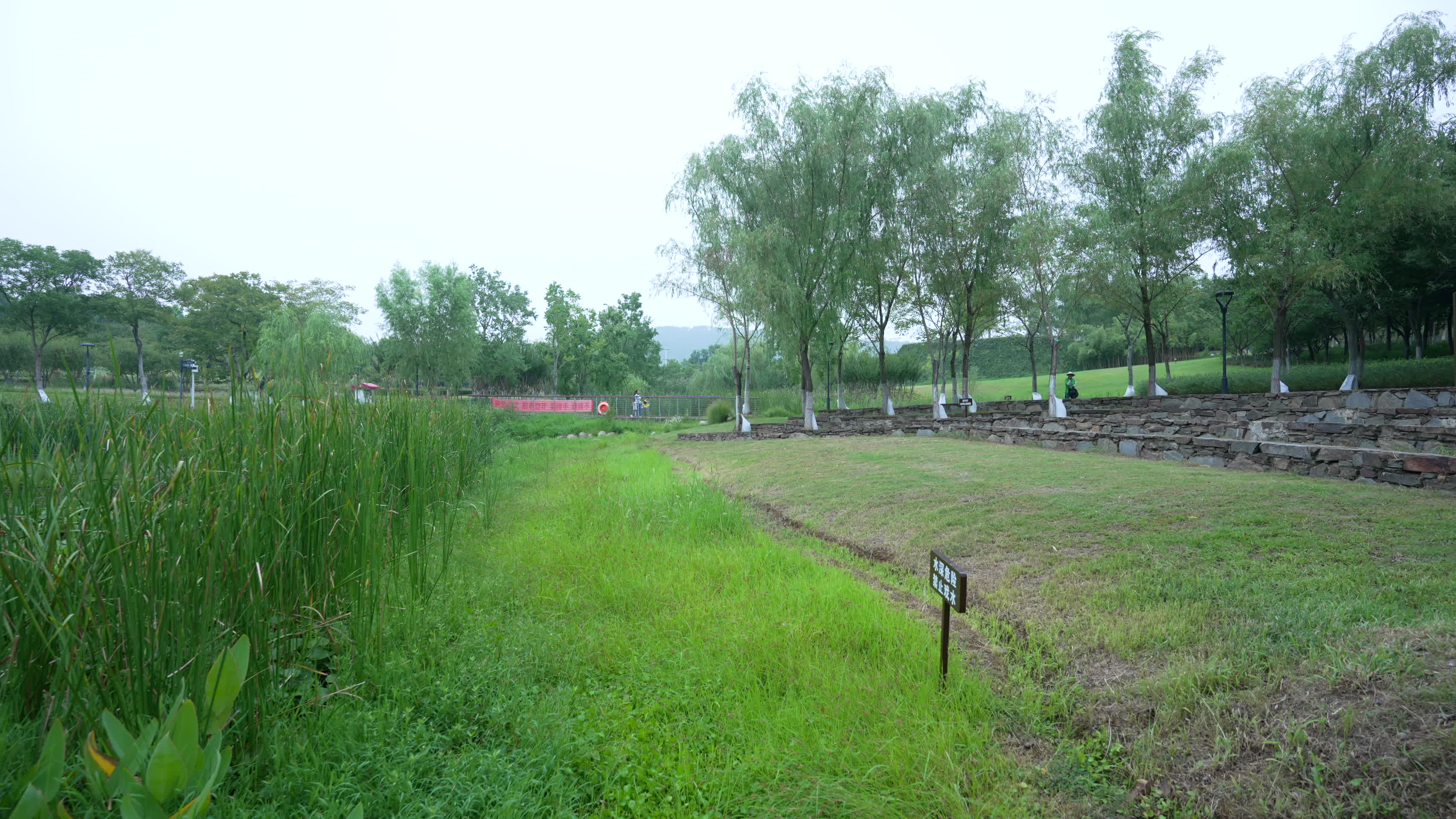 武汉西苑花园风景视频的预览图