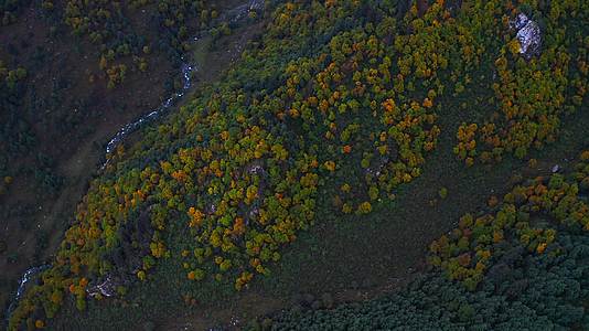 祁连山的植被视频的预览图
