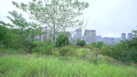 武汉光谷黄龙山公园风景视频的预览图