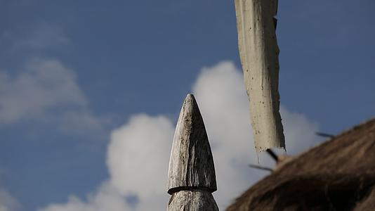原始部落木桩图腾文化装饰视频的预览图
