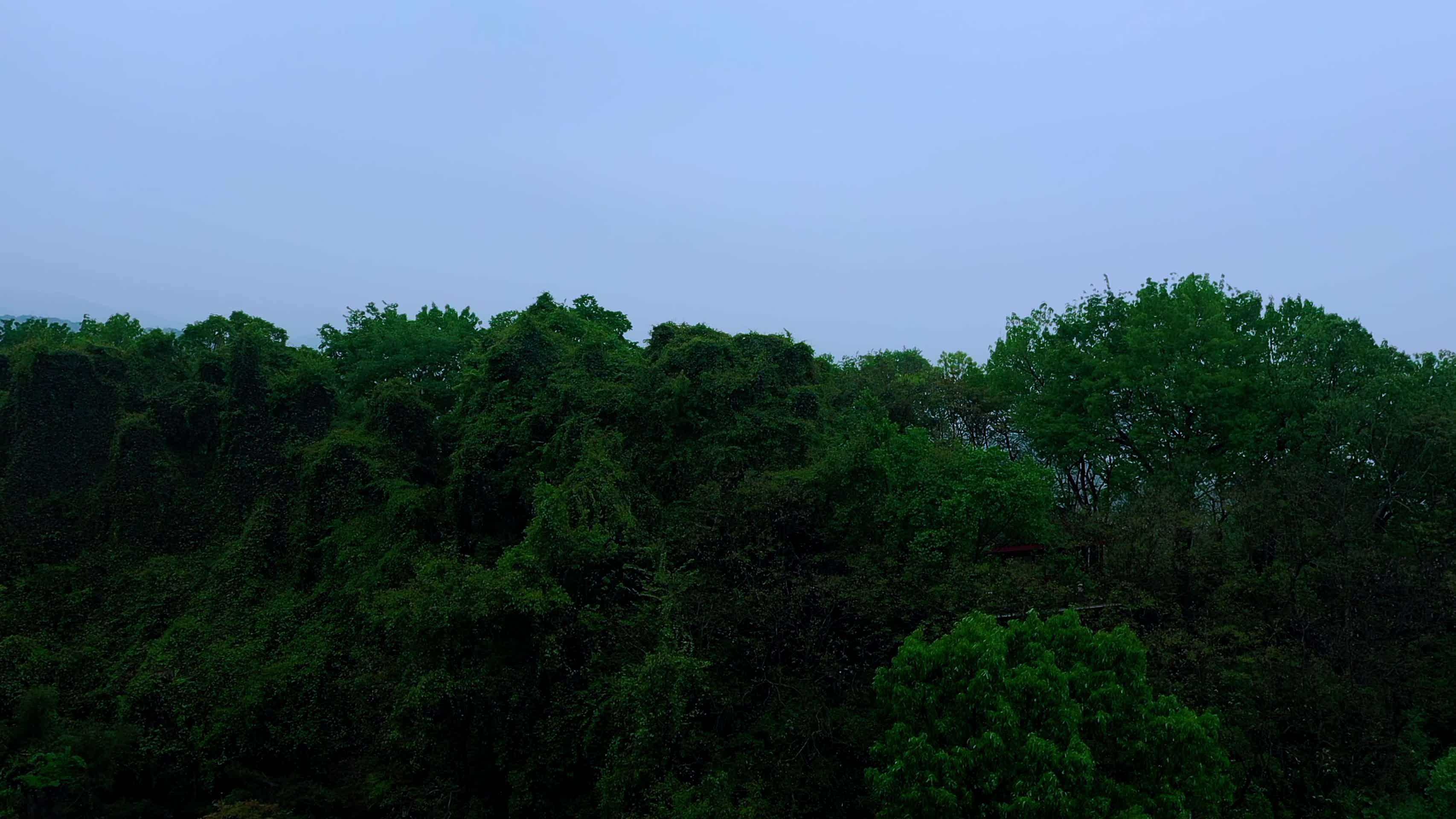晨雾弥漫的西湖景区航拍风景视频的预览图