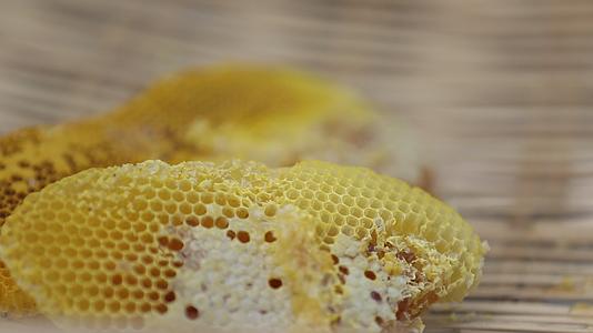 野生新鲜蜂蜜蜂巢特写视频的预览图