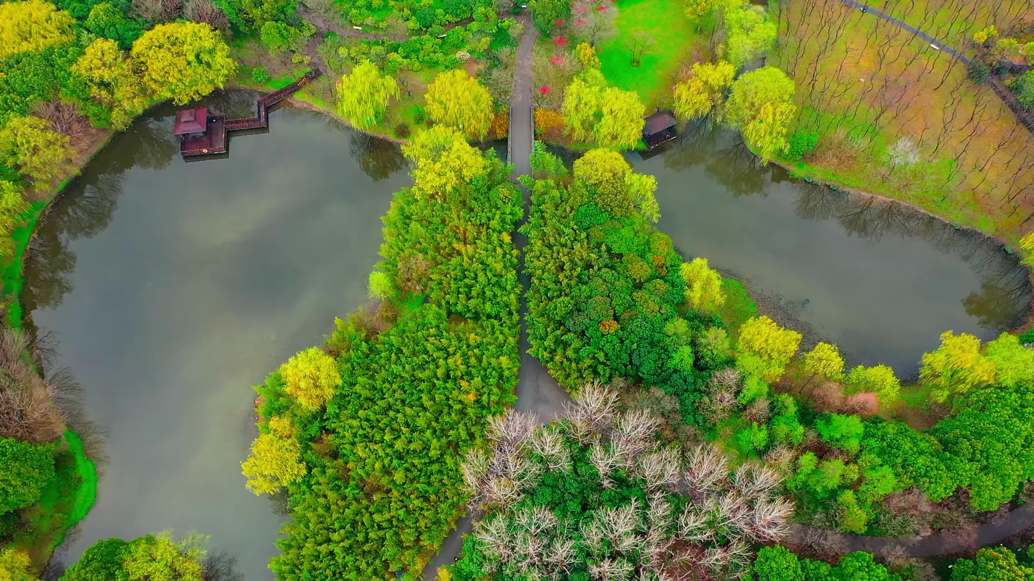 秋天的城市公园视频的预览图