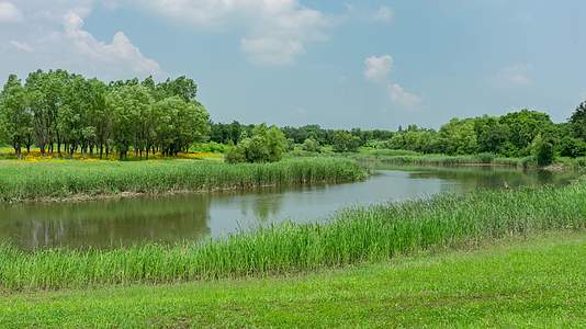 蒲河湿地自然景观视频的预览图