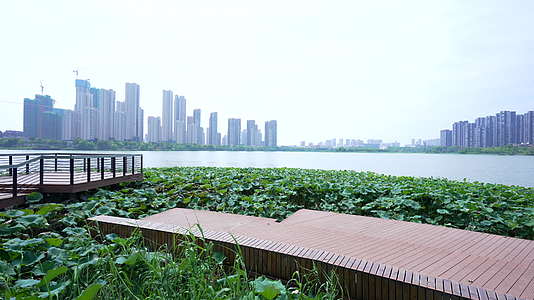 武汉当代运动公园风景视频的预览图