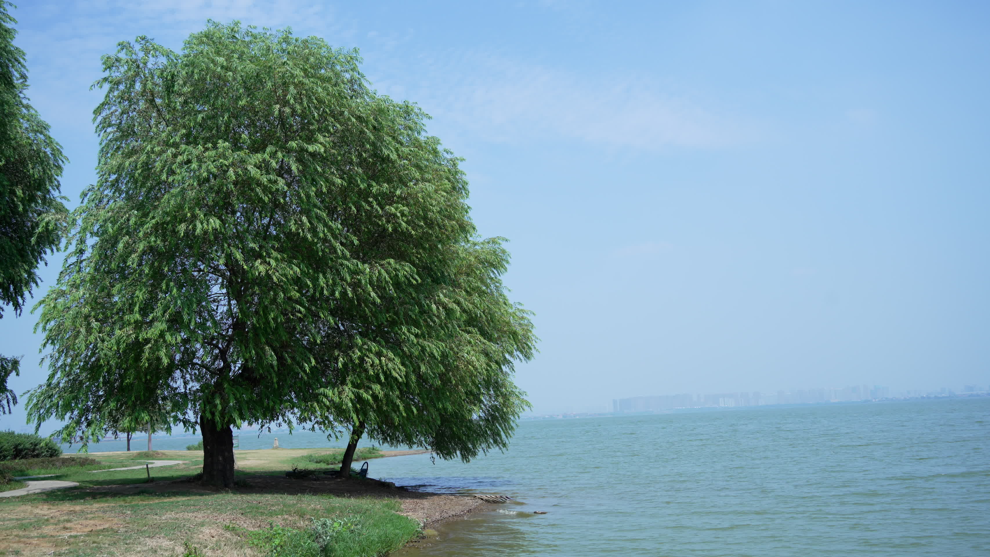 武汉悦湖公园风景视频的预览图