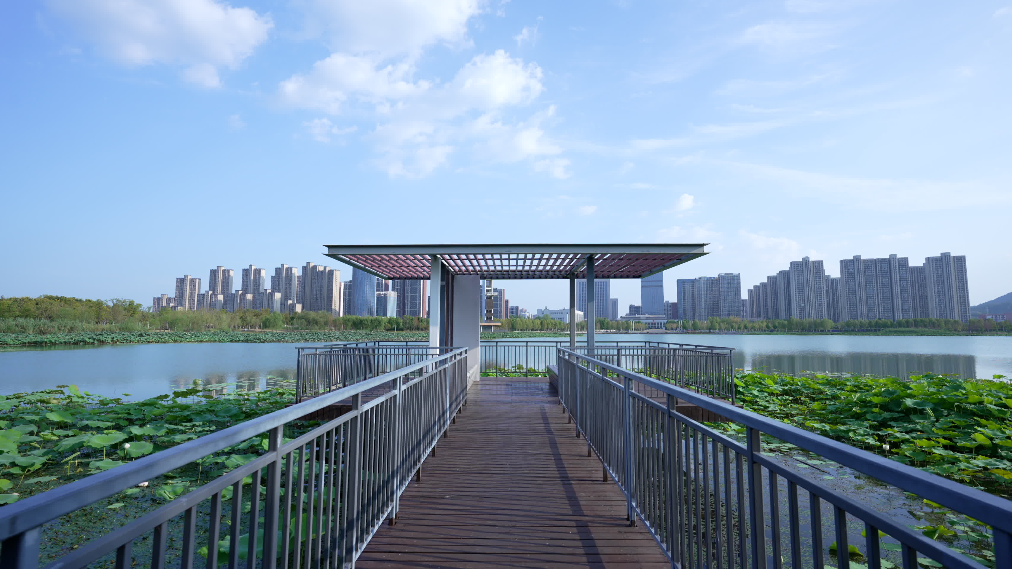 武汉江夏中央大公园风景视频的预览图