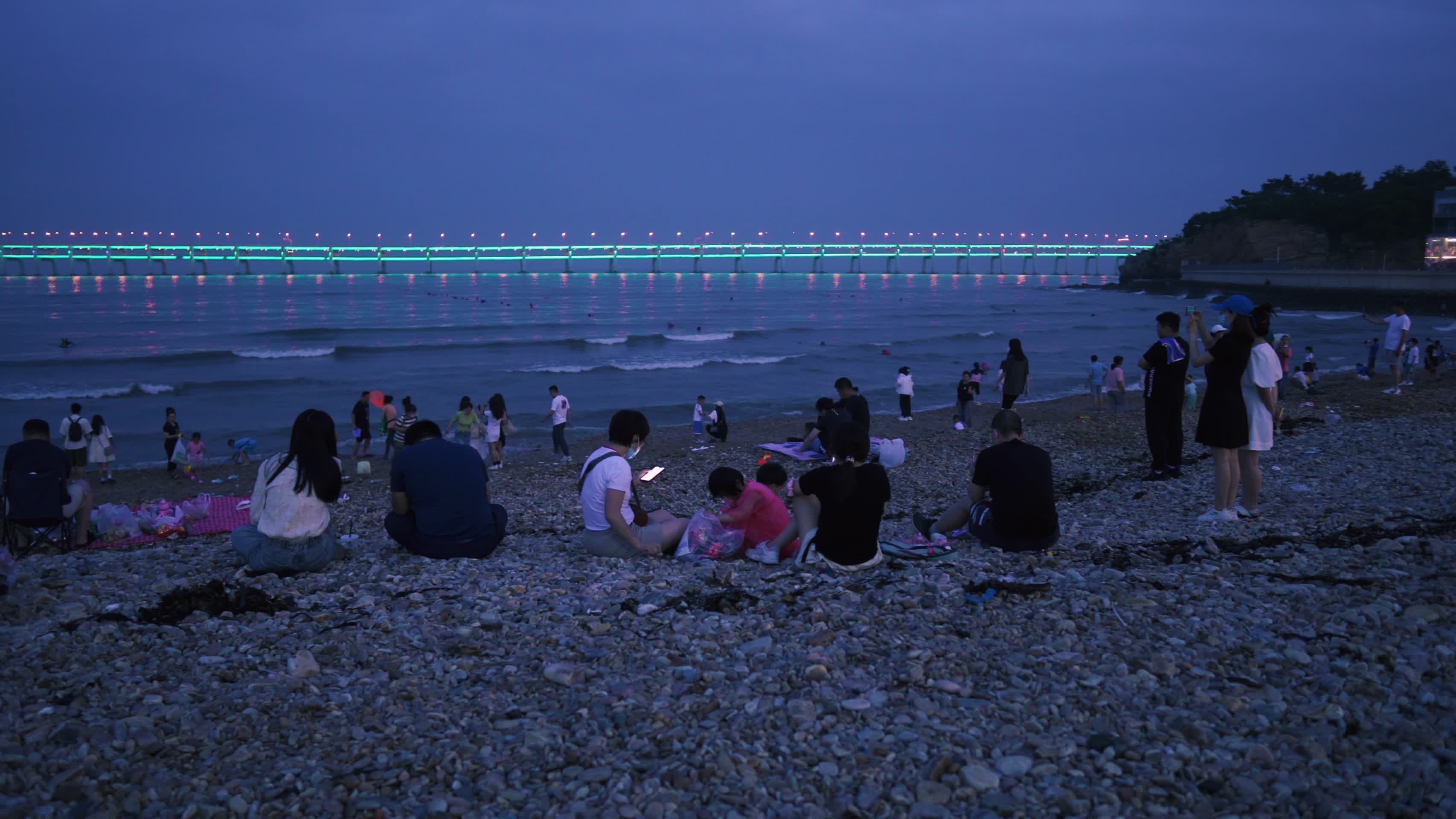 大连星海公园岸边看星海湾湾大桥夜景视频的预览图
