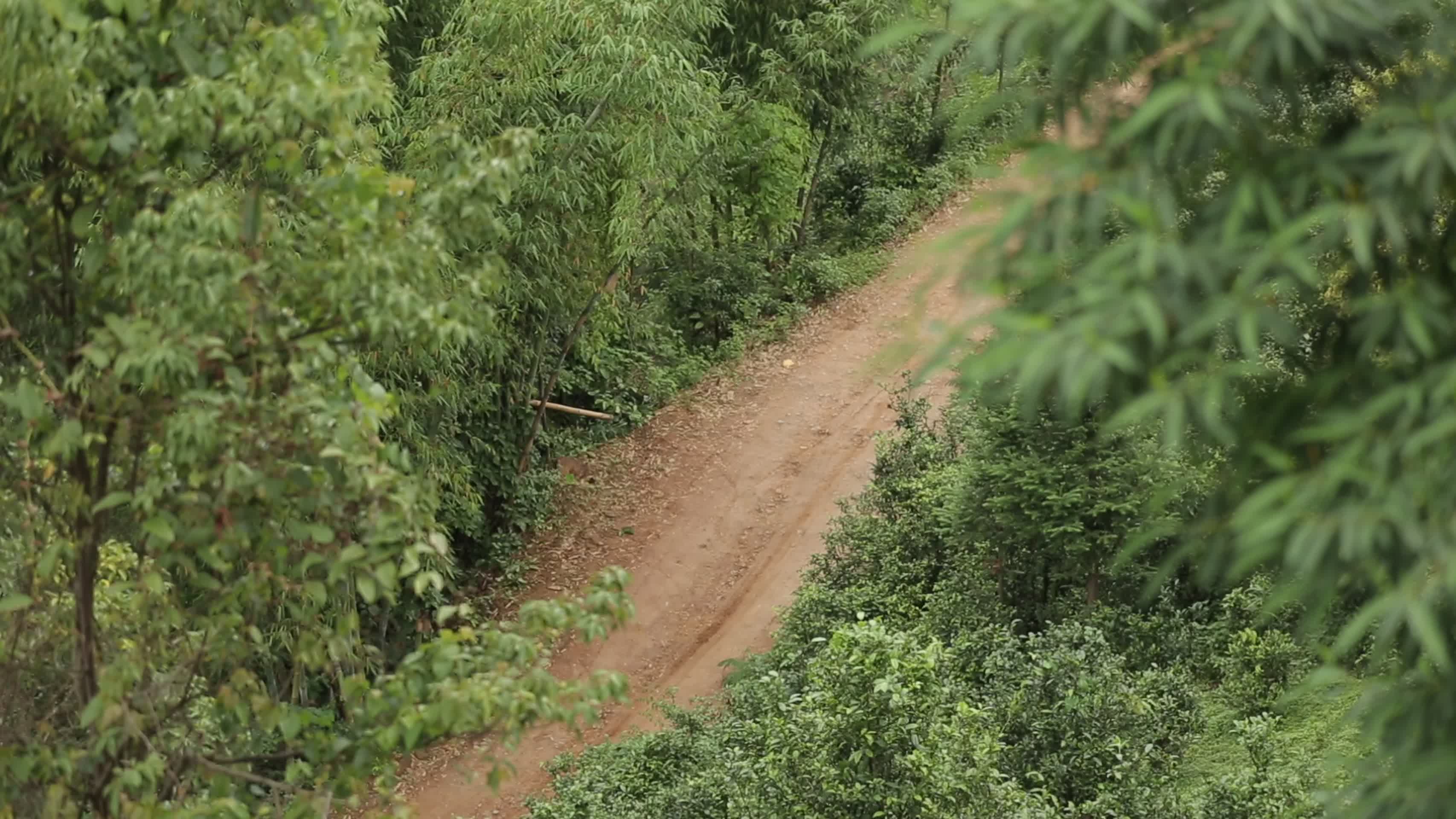 乡村山间崎岖泥泞土路视频的预览图