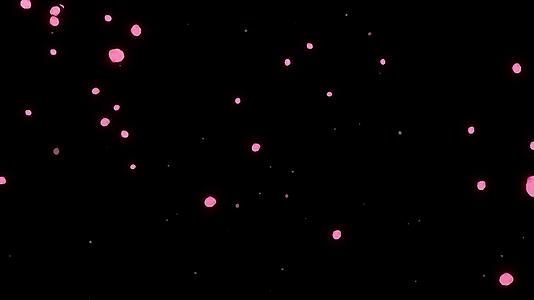 樱花花瓣飘落背景粒子动态AE模板视频的预览图