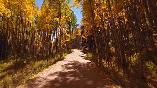 秋天在一条乡间小路上开车视频的预览图