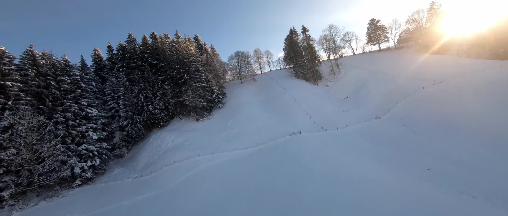 穿越机无人机穿梭飞跃冬季森林视频的预览图