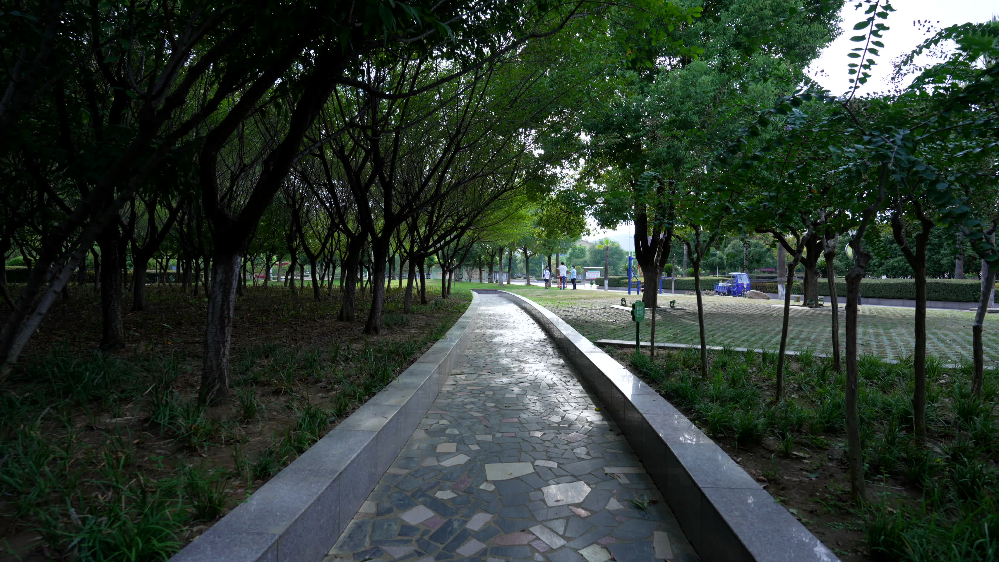 武汉江夏新世纪公园风景视频的预览图