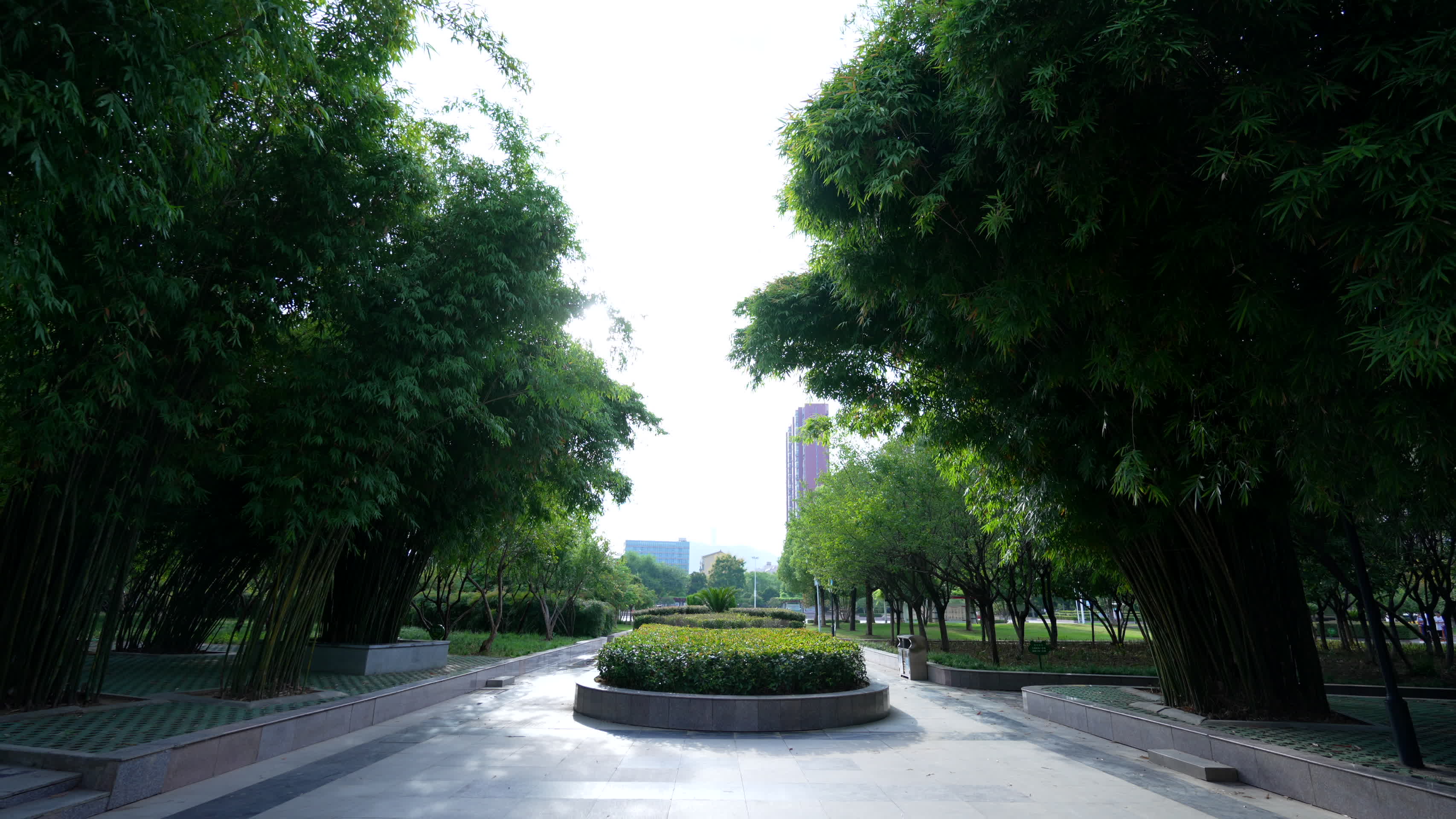 武汉江夏新世纪公园风景视频的预览图