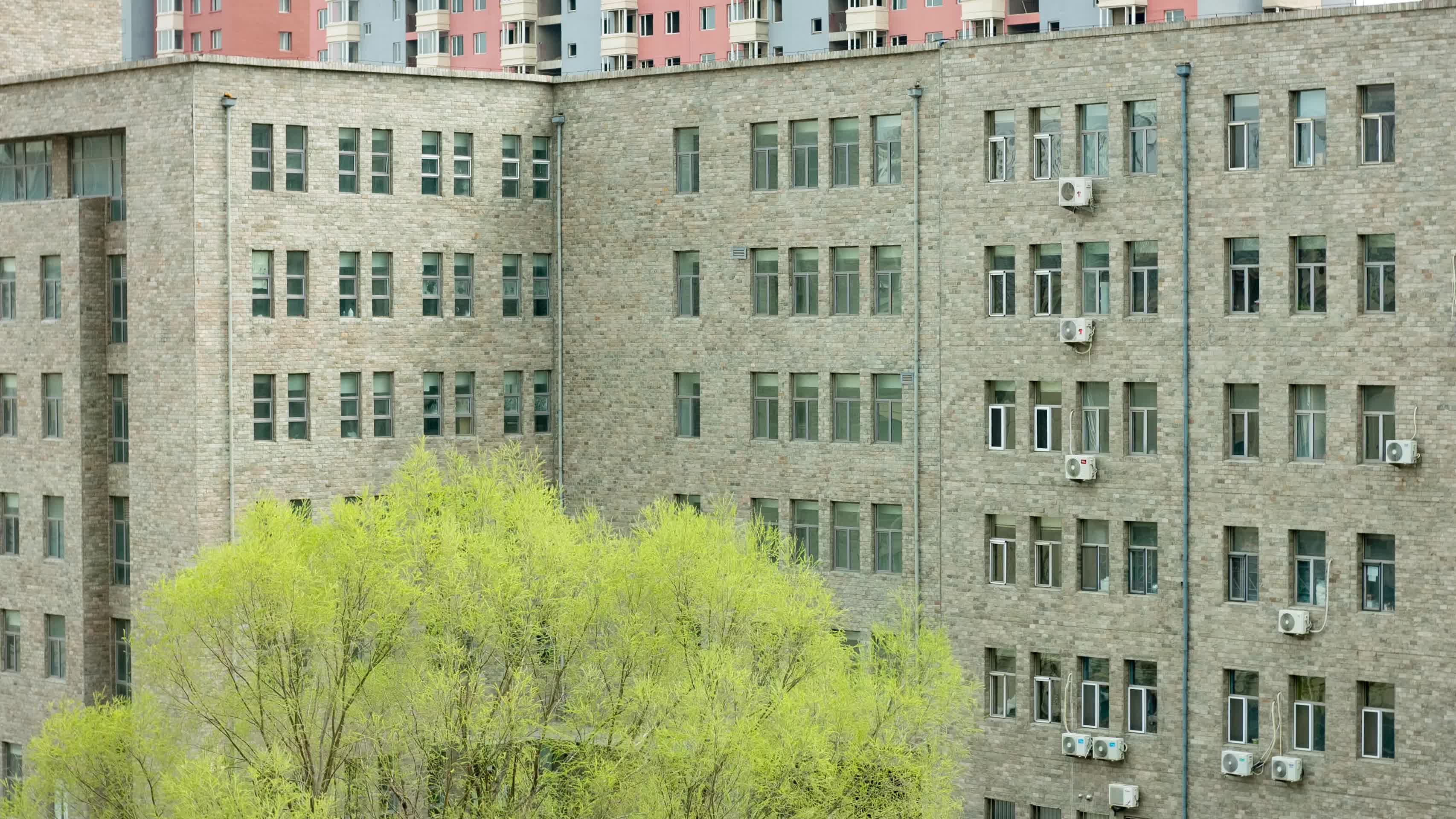 柳树随风摇动初春季节建筑物楼房前视频的预览图