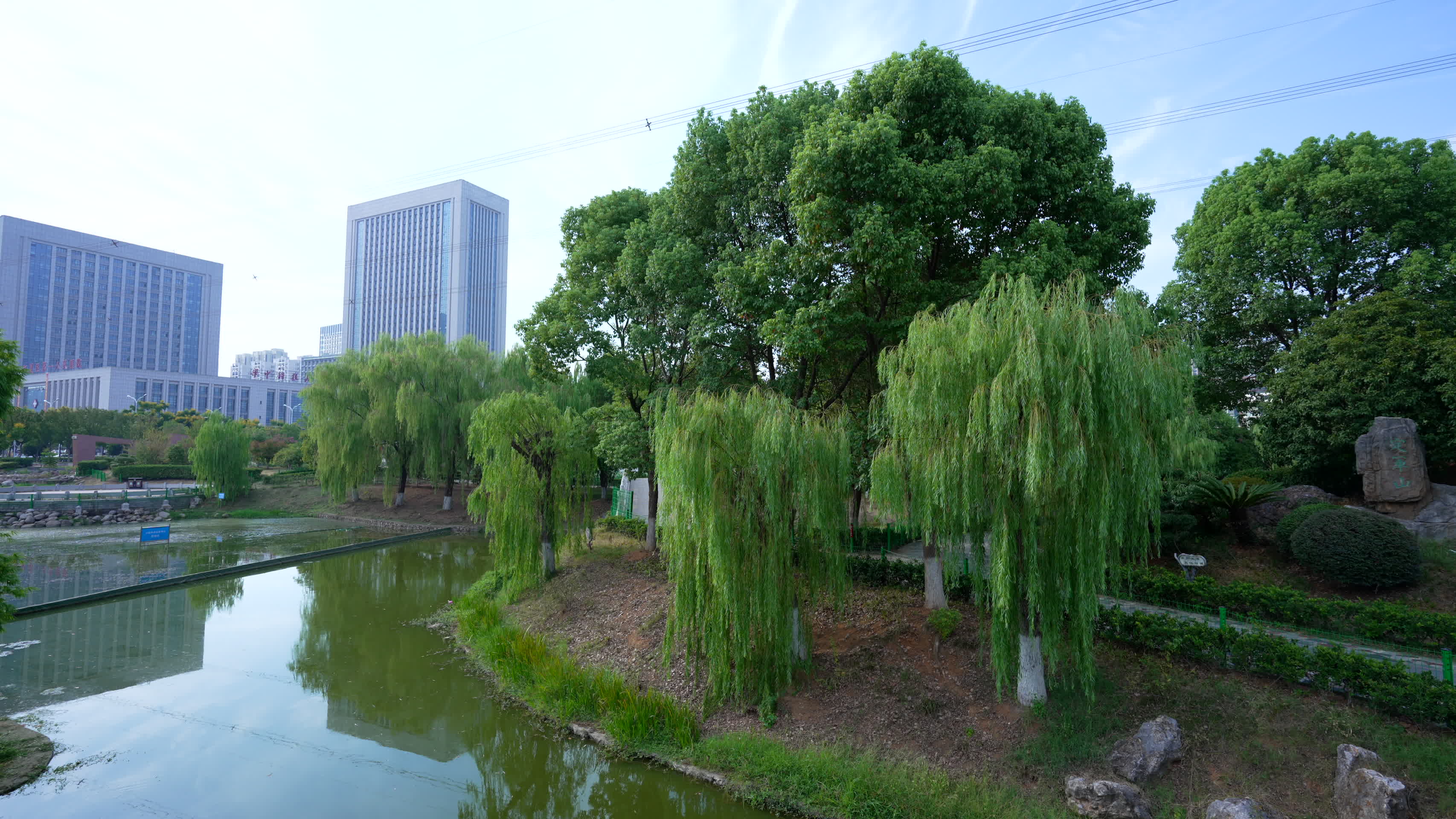 武汉江夏谭鑫培公园河边视频的预览图