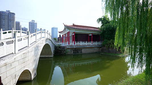 武汉江夏谭鑫培公园河边风景视频的预览图