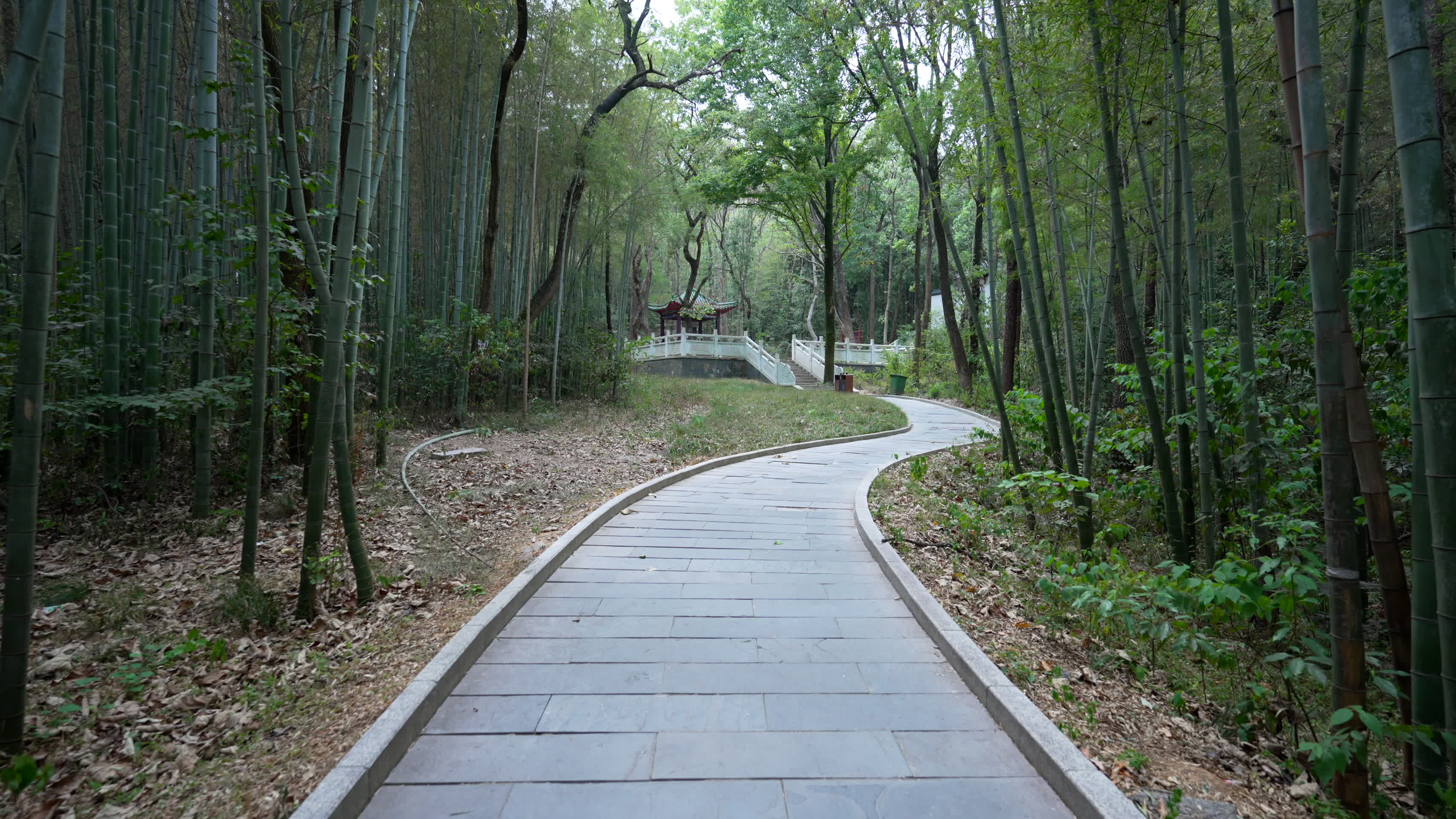 武汉江夏熊廷弼公园风景视频的预览图