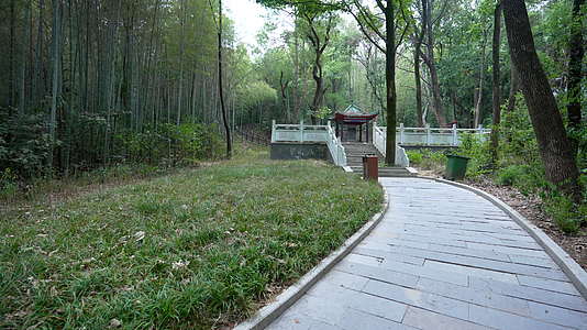 武汉江夏熊廷弼公园绿化风景视频的预览图