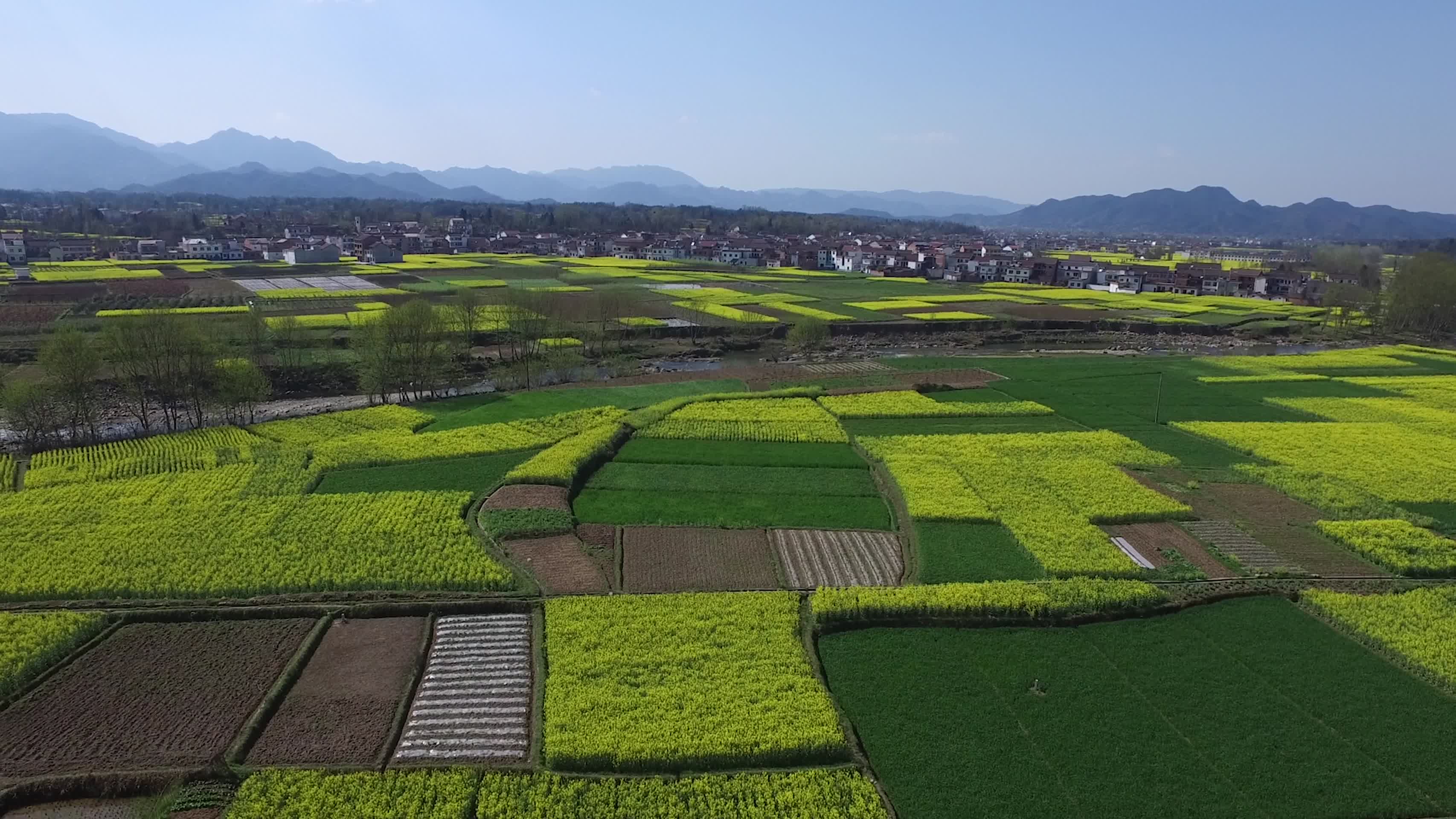 航拍汉中千亩油菜花海山村美景视频的预览图
