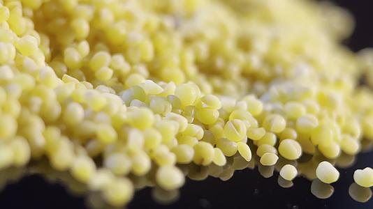 镜头合集黄米小米养胃粗粮视频的预览图