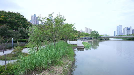 武汉国际博览中心中央水景公园视频的预览图