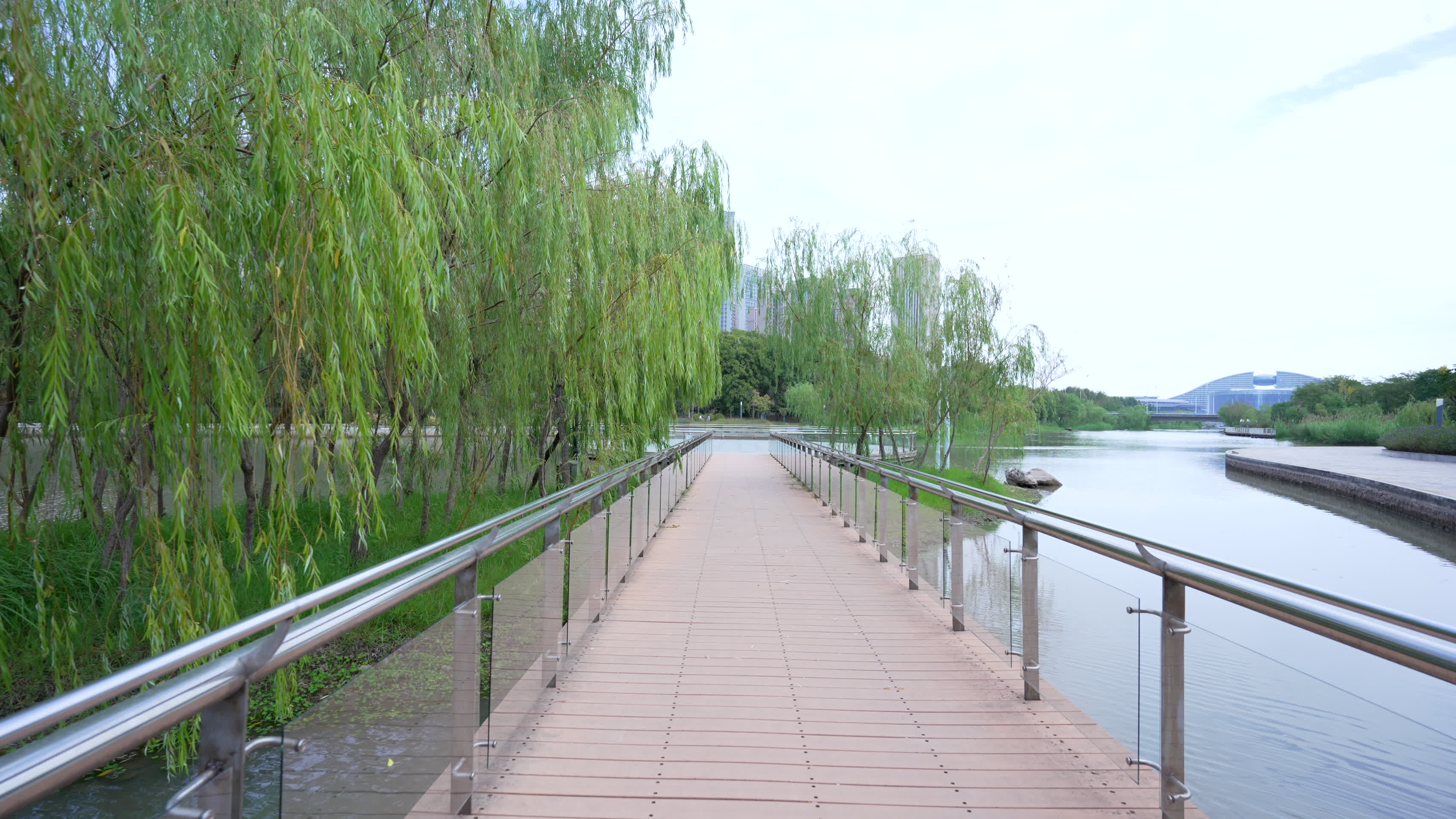 武汉国际博览中心中央水景公园实拍视频的预览图