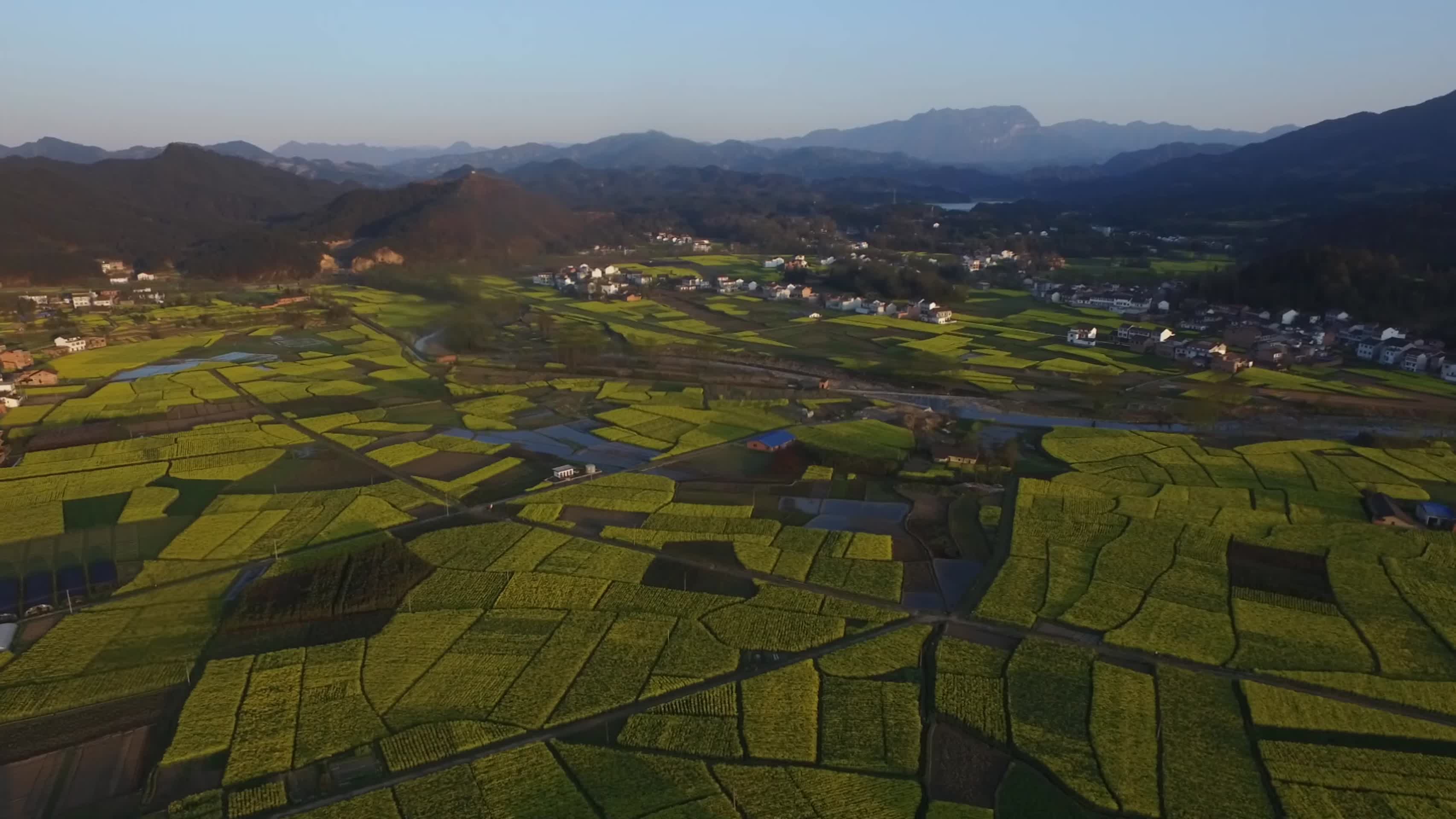 航拍汉中黄官镇油菜花海和村庄美景视频的预览图