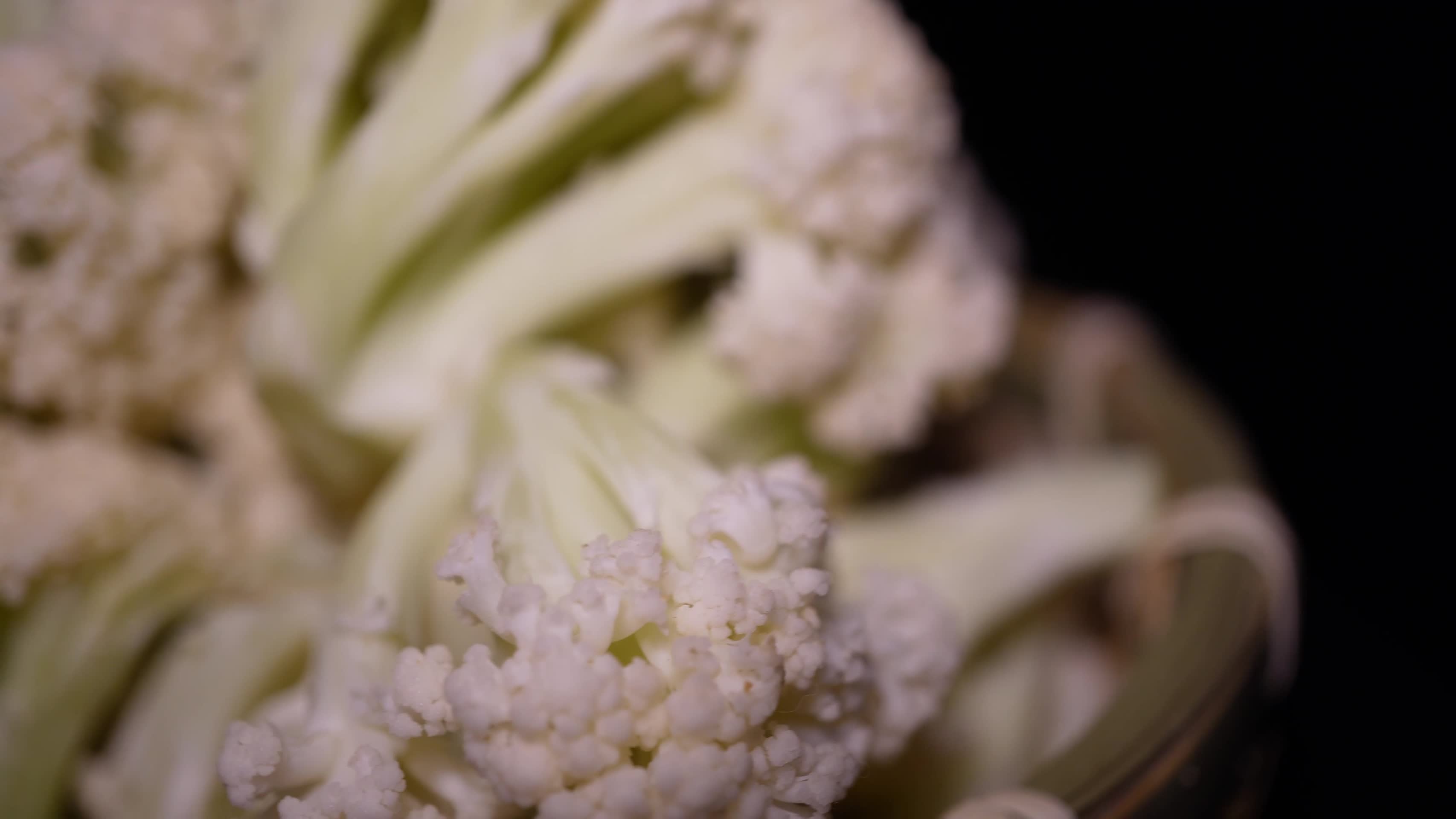 蔬菜花菜菜花食材视频的预览图