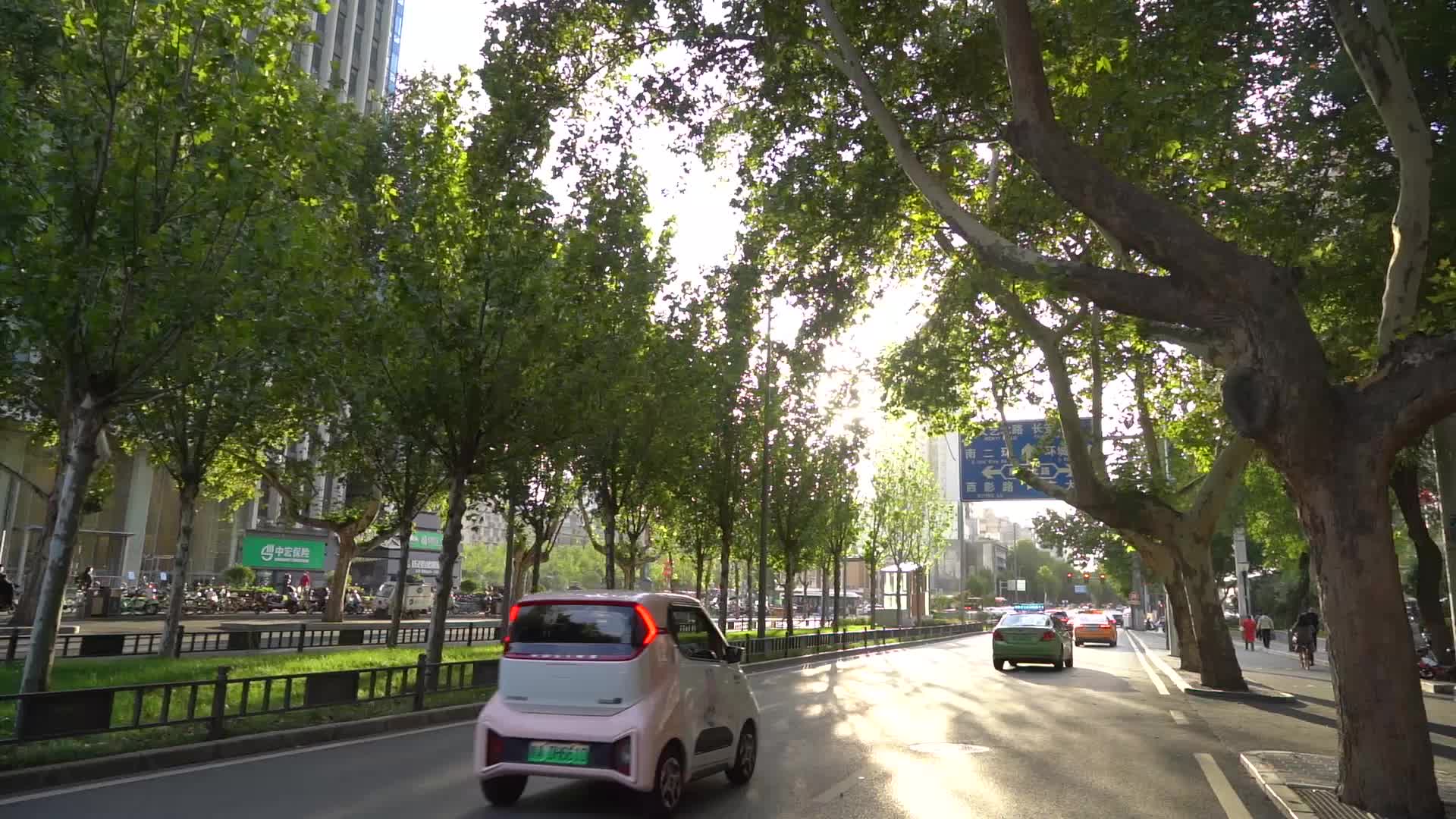 西安友谊路梧桐树唯美阳光穿过树叶光斑视频的预览图