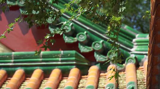 游客参观中国古建筑琉璃瓦明清视频的预览图