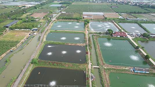 4K乡村振兴农业水产养殖农业养殖生态视频的预览图
