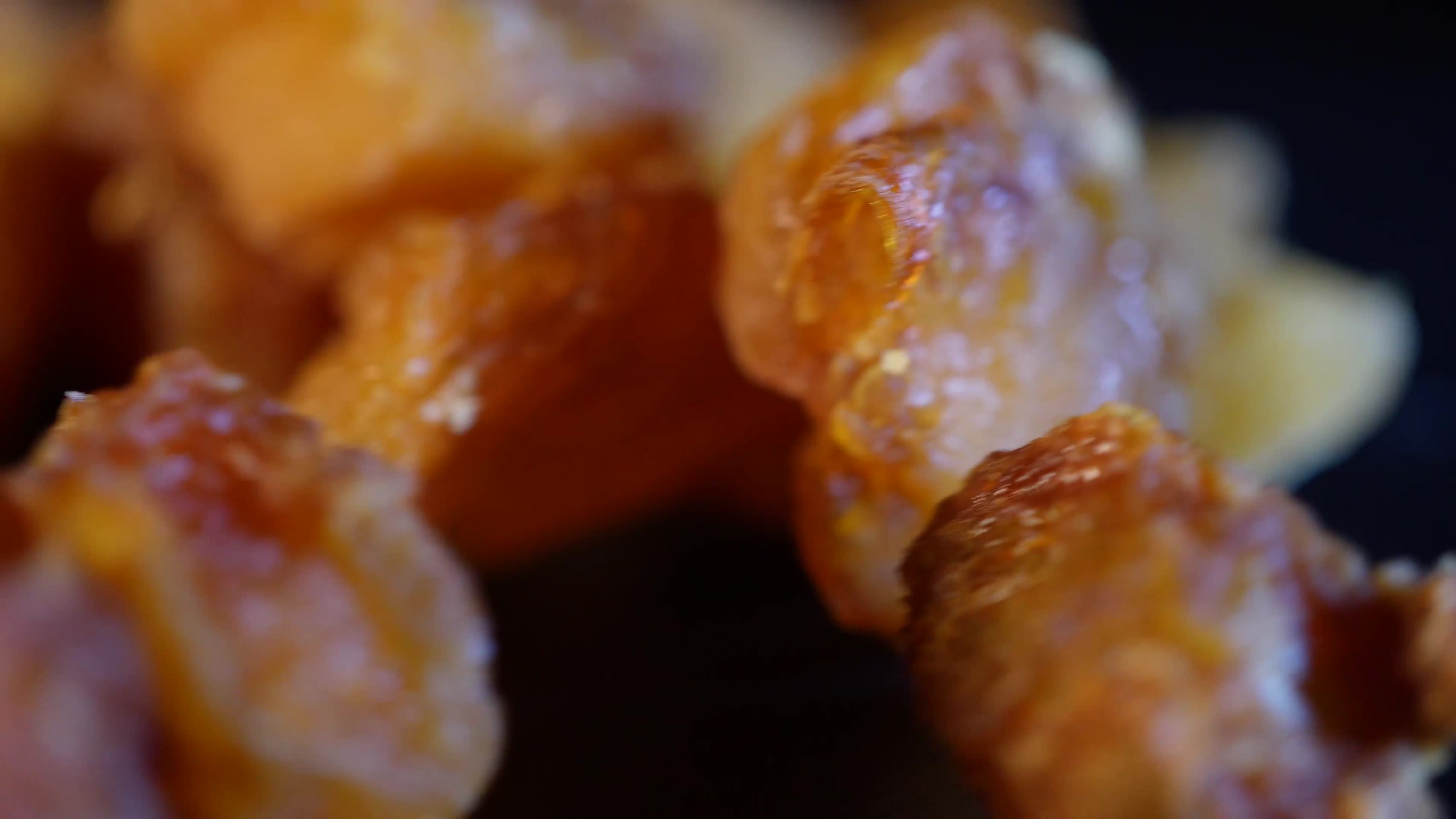 养生桂圆肉杏肉脯视频的预览图